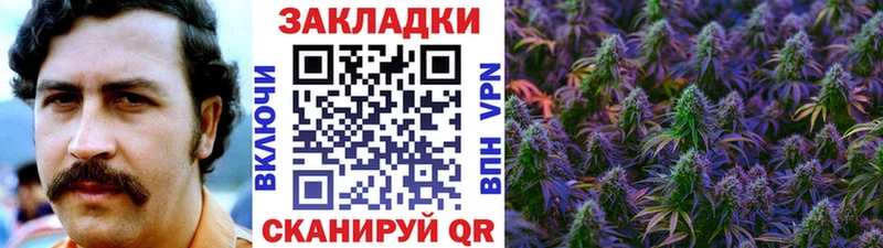 Купить наркотики цена Рошаль КОКАИН  Меф  NBOMe  МАРИХУАНА  Гашиш  A-PVP 