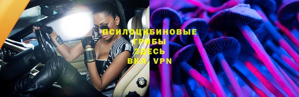ешки Арсеньев