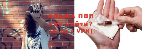 ешки Арсеньев