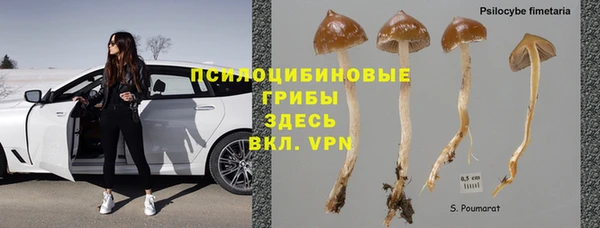 MDMA Premium VHQ Аркадак
