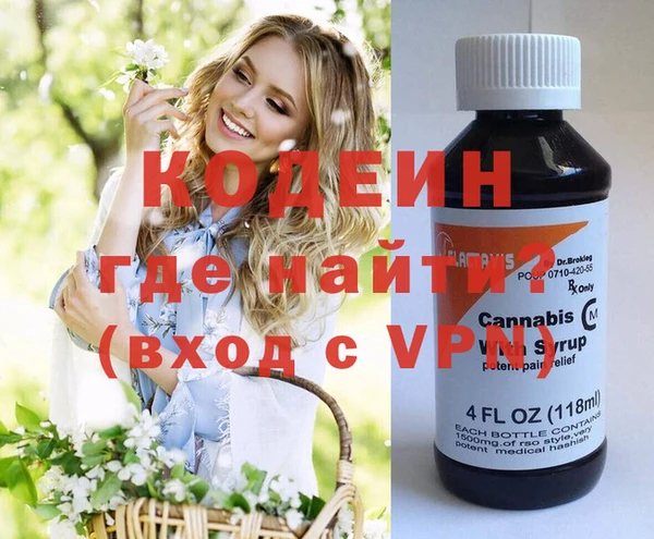 шишки Каменногорск