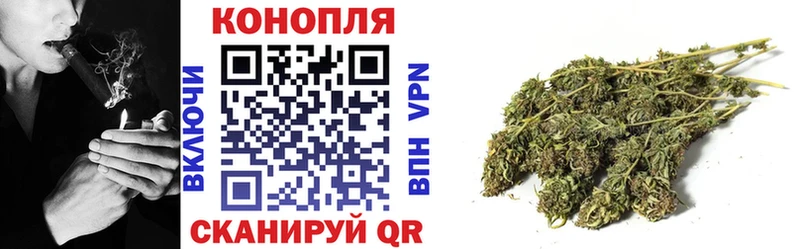 Бошки марихуана гибрид Рошаль